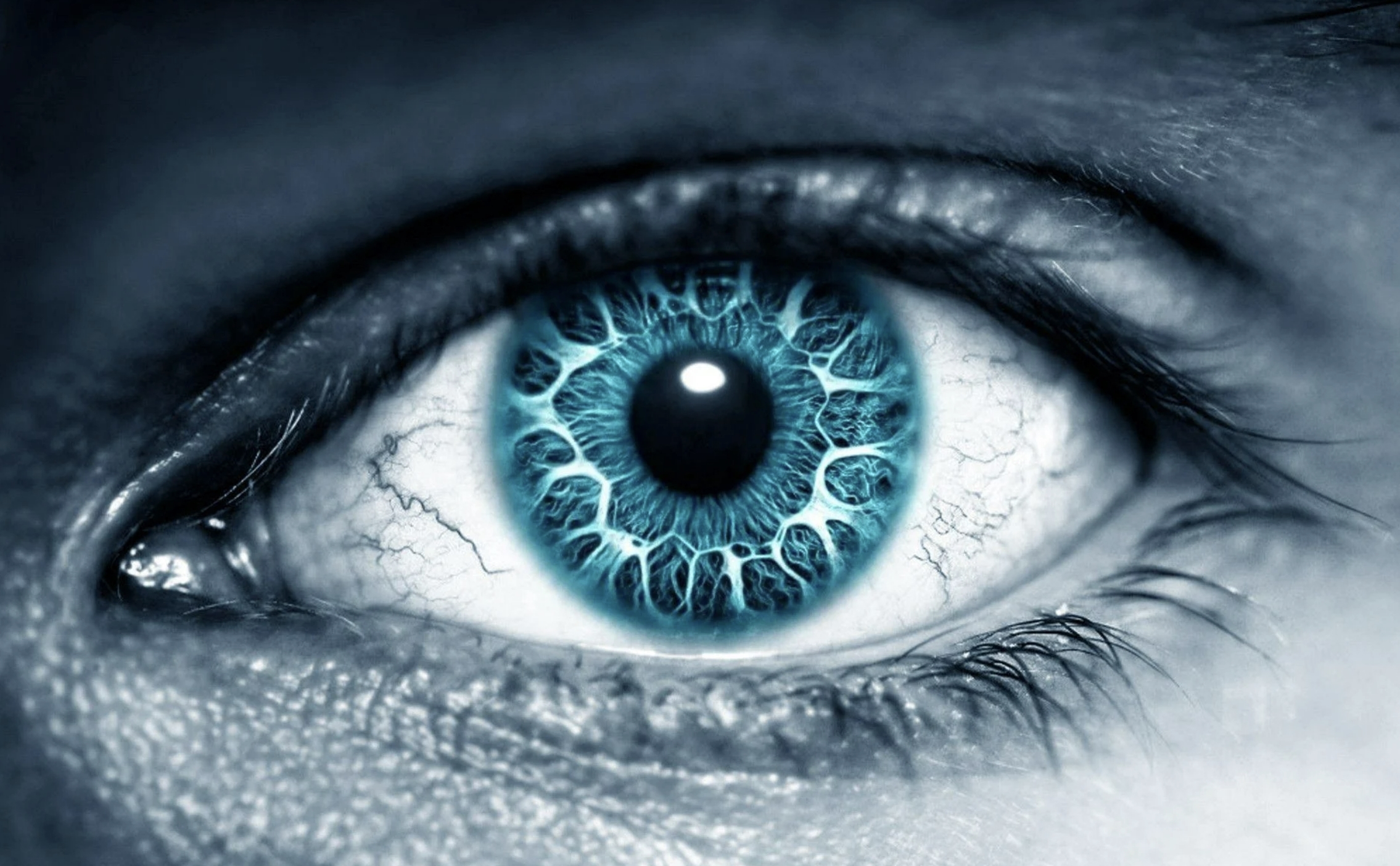 Синята светлина: Как влияе върху здравето на очите и как да се предпазим?