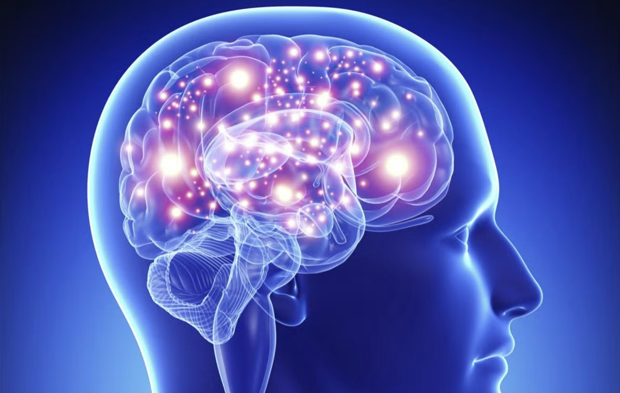 5 ноотропни добавки, които подпомагат мозъка и повишават когнитивните функции