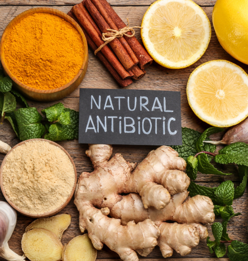 Природни антибиотици